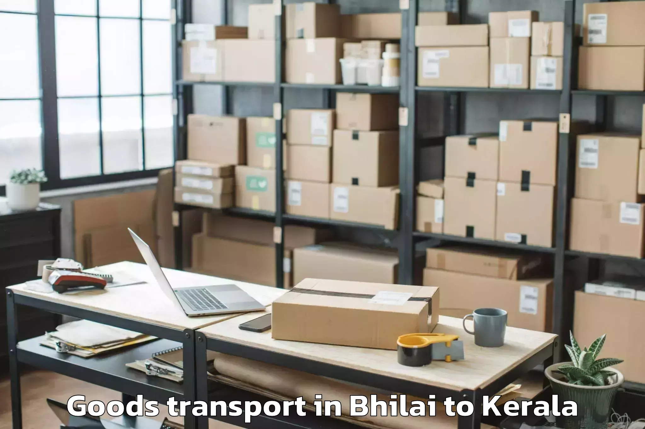 Hassle-Free Bhilai to Ambalappuzha Goods Transport